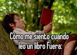 Enlace a Y prepárate para los mosquitos