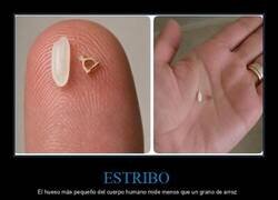 Enlace a Seguro que lo tengo roto