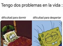 Enlace a Mi vida resumida en dos frames