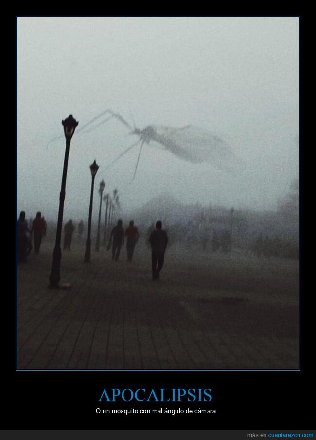 mosquito,perspectiva,p&aacute;nico,apocalipsis,exageraci&oacute;n
