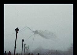 Enlace a Una foto de un mosquito volando frente al objetivo hace que parezca un monstruo gigante en la niebla