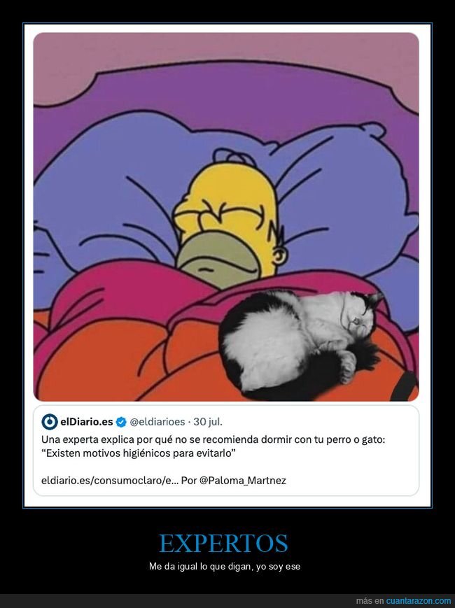 sue&ntilde;o,mascotas,expertos,indiferencia,confort