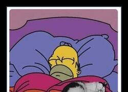 Enlace a Me da igual, duerme conmigo