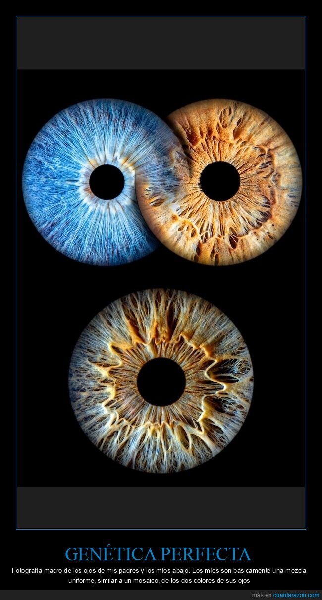 gen&eacute;tica,herencia,ojos,familia,destino