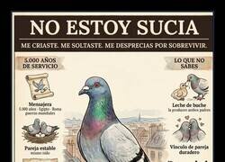 Enlace a Un respeto a las palomas