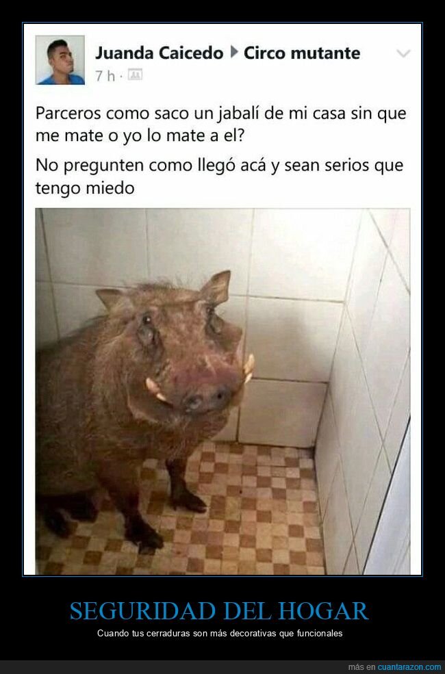 vecinos,desastre,casa,p&aacute;nico,inexplicable