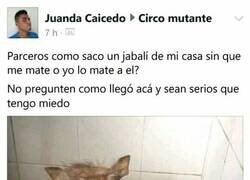 Enlace a No preguntes, mejor cierra los ojos