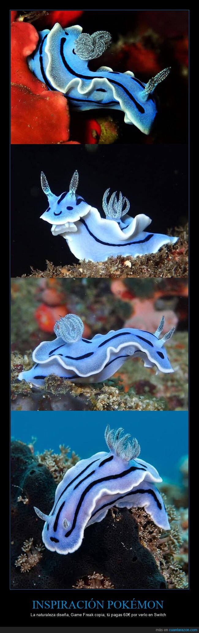 babosa,dise&ntilde;o,Pok&eacute;mon,naturaleza,plagio