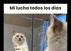 Enlace a Mi barriga manda más que yo
