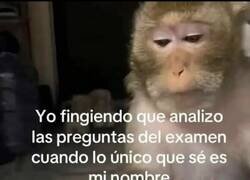 Enlace a Estudiante promedio ante un examen para no ser el primero en entregarlo