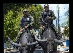 Enlace a No he visto una policía más épica que ésta