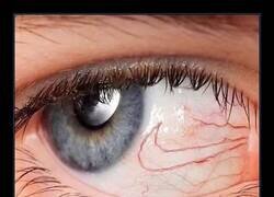 Enlace a Ojos nike