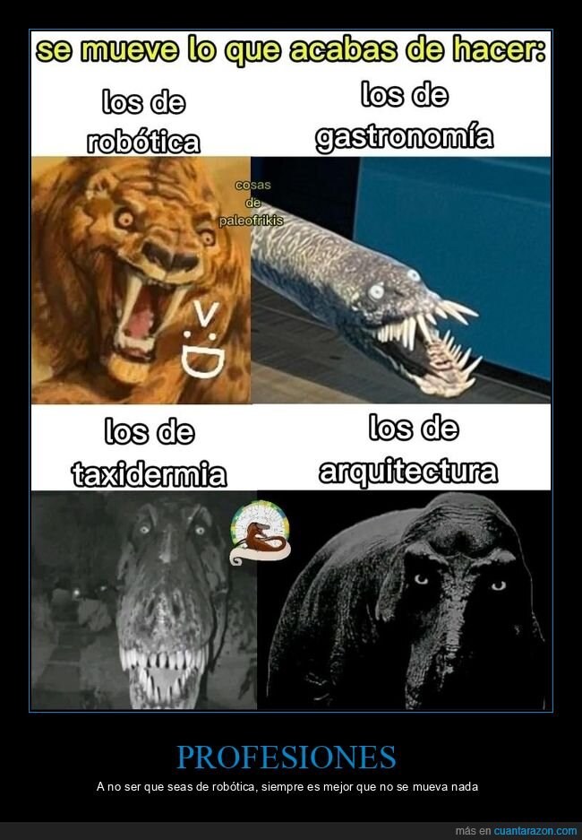 profesionales,creaciones,terror,disciplinas,resultados