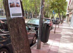 Enlace a El dueño de un gato desaparecido, que llevaba días buscándolo, lo encontró justo debajo de uno de los carteles con los que lo estaba buscando. 