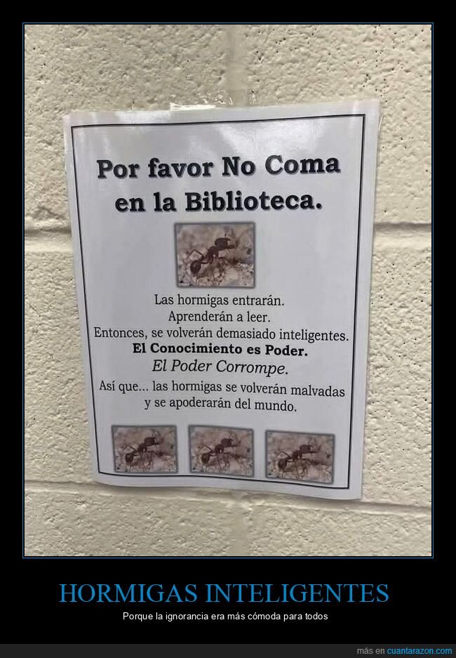 biblioteca,comer,hormigas
