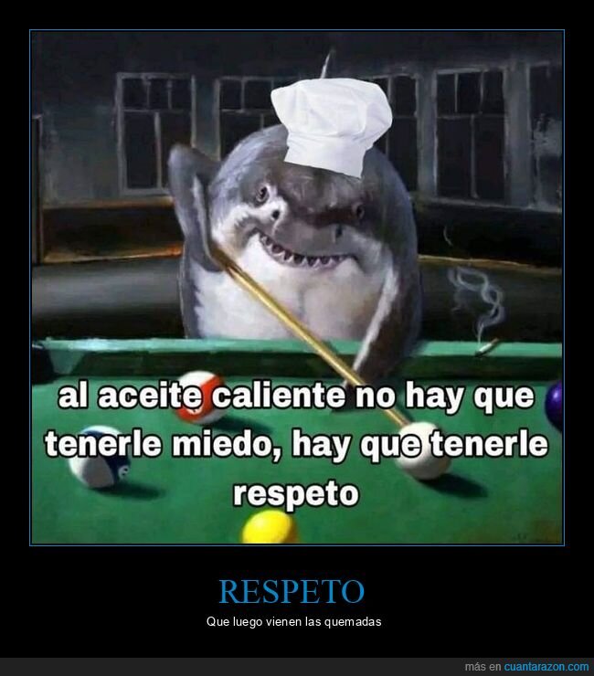 tibur&oacute;n,cocina,peligro,chef,aceite