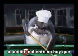 Enlace a Coge escudo por si acaso