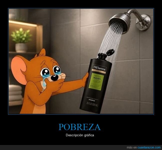 promesas,adultos,realidad,dinero,fracaso,rellenar,jabon