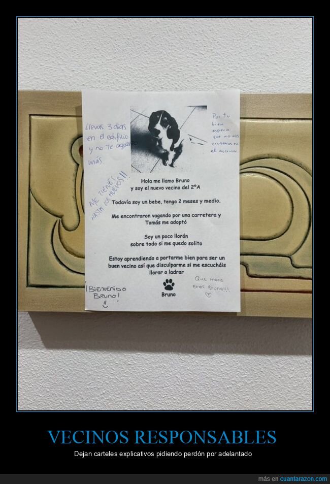 vecinos,perdido,adopci&oacute;n,perro,responsabilidad