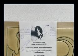 Enlace a Ojalá más vecinos así