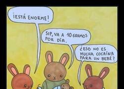 Enlace a Conejos responsables