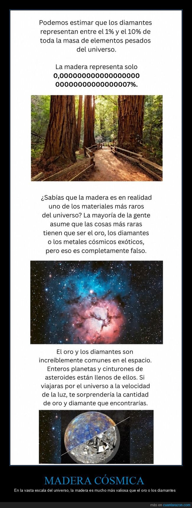 cosmos,madera,valor,absurdo,perspectiva