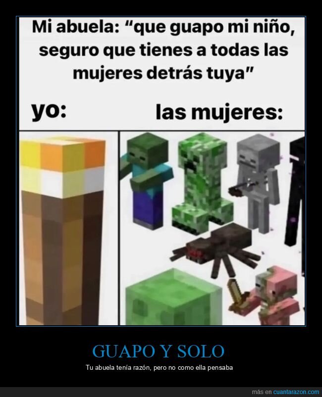 abuela,expectativas,realidad,fracaso,Minecraft
