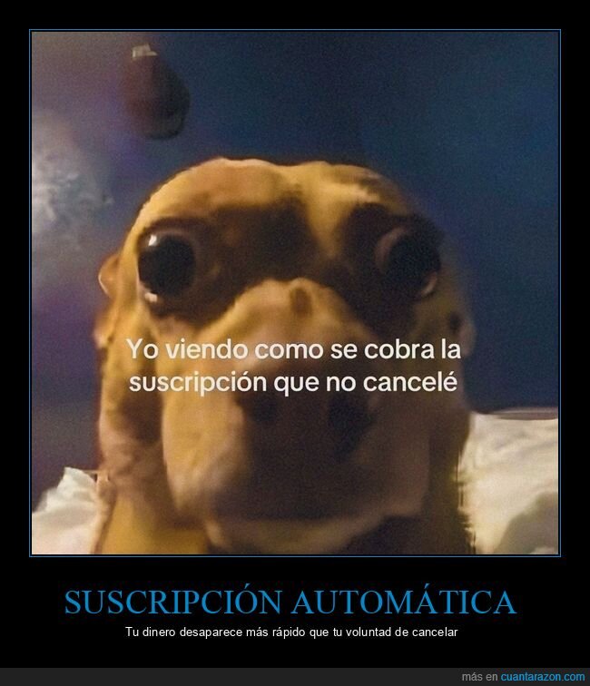 suscripci&oacute;n,dinero,sorpresa,cancelaci&oacute;n,realidad