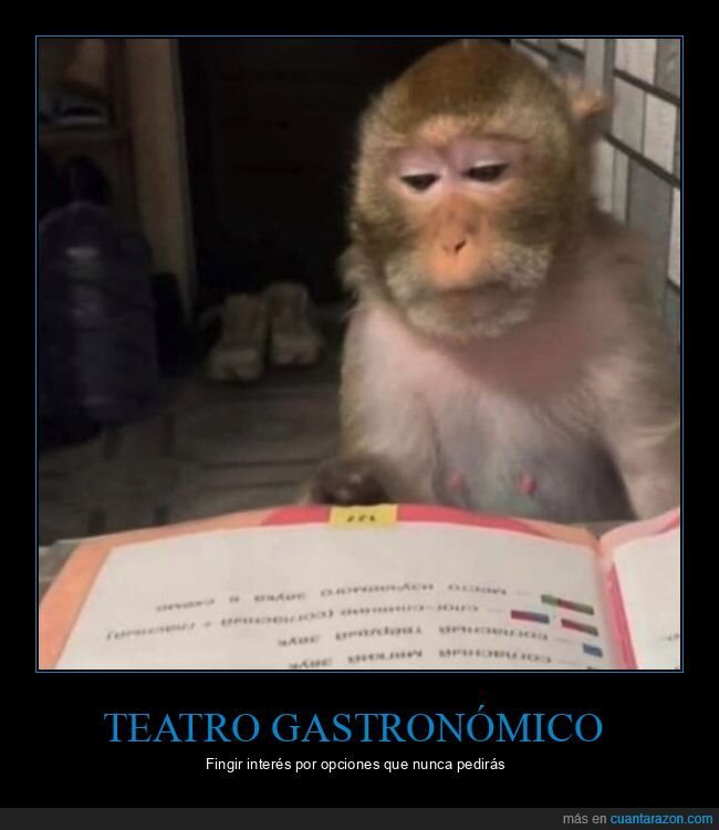 restaurante,decisi&oacute;n,h&aacute;bito,comida,rutina