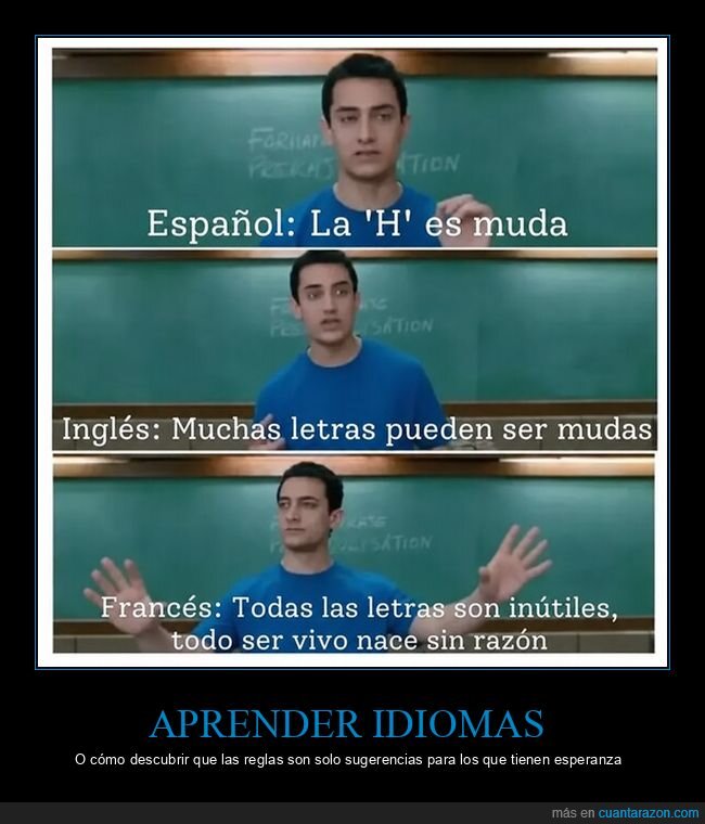 idiomas,ling&uuml;&iacute;stica,educaci&oacute;n,absurdo,franc&eacute;s
