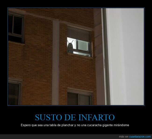 vecino,plancha,ventana,ca&iacute;da,desastre