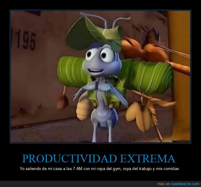 madrugada,carga,trabajo,gym,supervivencia