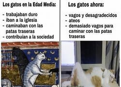 Enlace a Los gatos: de virtuosos a parásitos con WiFi