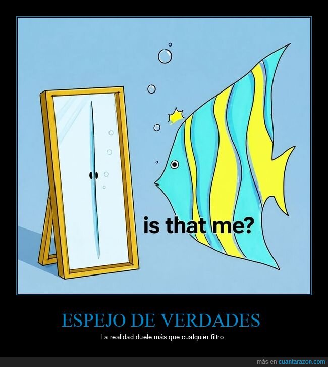 espejo,realidad,autoestima,transformaci&oacute;n,decepciones