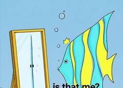 Enlace a Cuando te ves sin Instagram