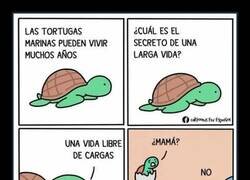 Enlace a El secreto era no tener responsabilidades