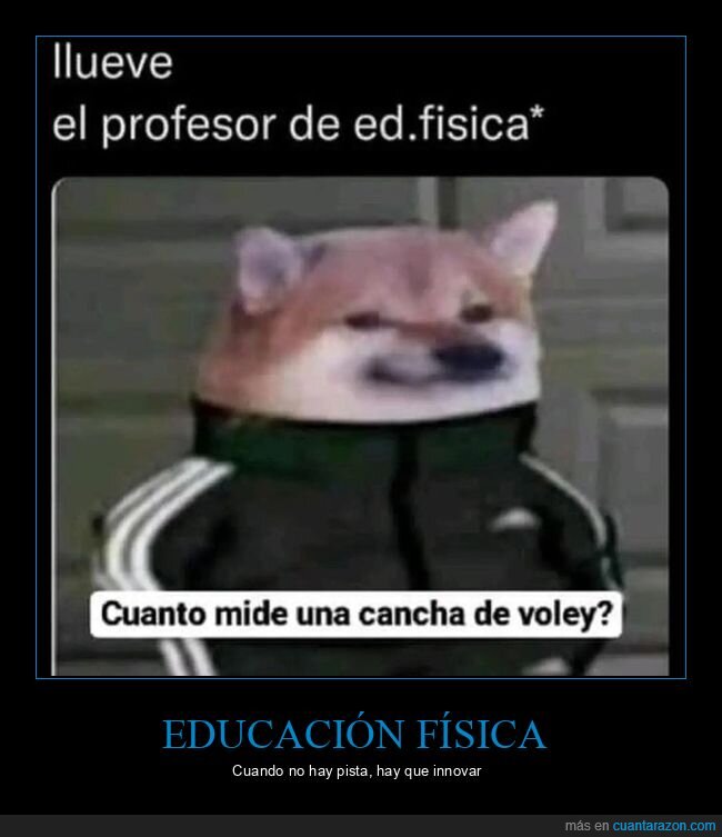 educaci&oacute;nf&iacute;sica,profesor,pereza,escuela,entrenamiento