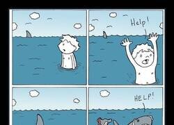 Enlace a Pobres tiburones, están más jodidos que nosotros