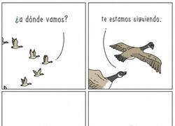 Enlace a Pues tendré que seguir adelante