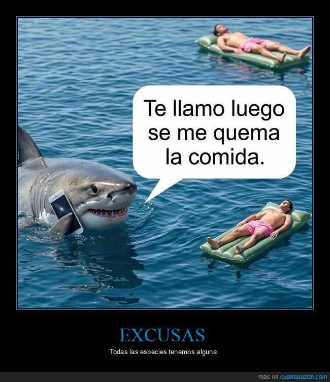 tibur&oacute;n,playa,depredador,supervivencia,naturaleza