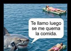 Enlace a El tiburón tiene prioridades
