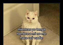 Enlace a Mientras yo sufro, otros comen