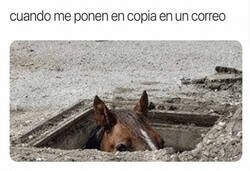 Enlace a Cuando estoy en copia en un email