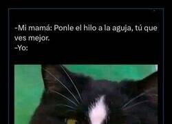 Enlace a Ojalá pudiese, mamá