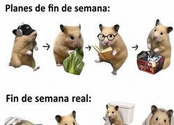 Enlace a Cuando planificas el fin de semana pero tu cuerpo tiene otros planes