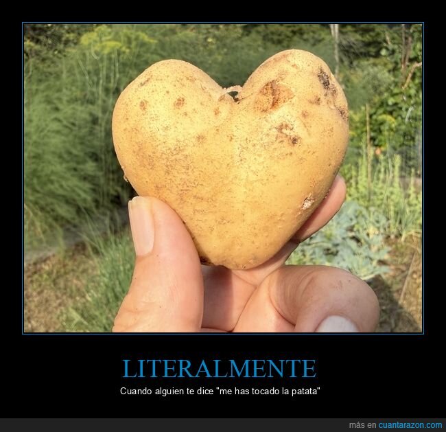 huerto,patatas,amor,fracaso,naturaleza