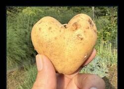 Enlace a “Me tocó la patata” es un dicho en España que quiere decir que algo te llegó al corazón
