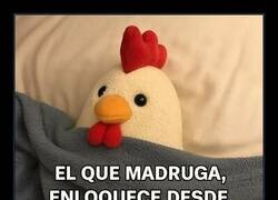Enlace a Madrugar no te hace productivo, solo cansado y resentido