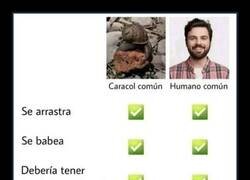 Enlace a Caracol vs Humano: El Caracol Gana