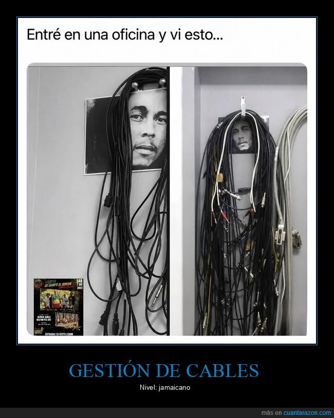 cables,desorden,oficina,caos,tecnolog&iacute;a